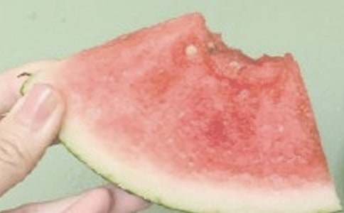 夏日原文翻譯及賞析【熱門】