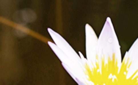 �������¶̾�