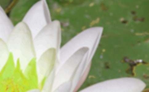 夏至的含義和風(fēng)俗