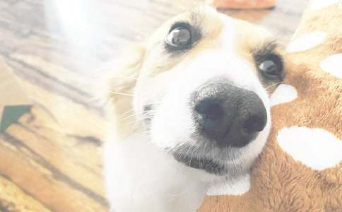 ���꼉���D��ԒС���������^�^��