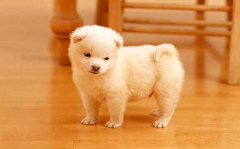 С��С�W(xu��)����[����8ƪ]