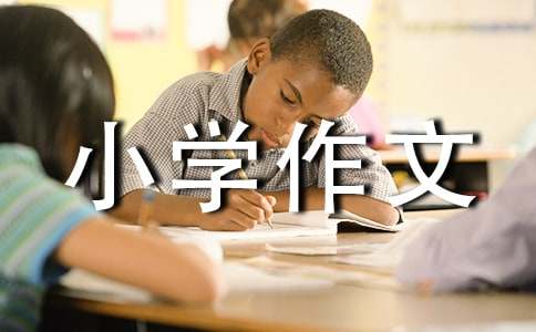 (實用)小學作文600字