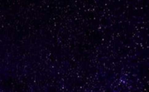 仰望星空與腳踏實地作文(合集15篇)