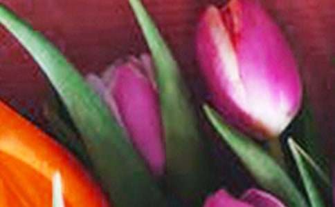 ����������[����15ƪ]