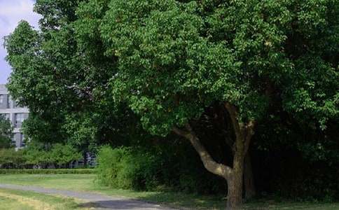 2021年精選美好的早安朋友圈祝福語44條