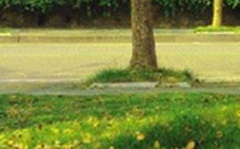 精選美好的早安朋友圈祝福語摘錄30句