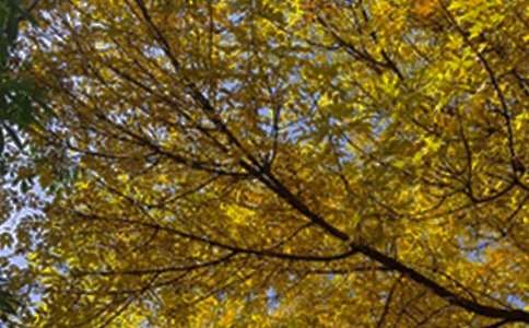 常用美好的早安朋友圈祝福語41條