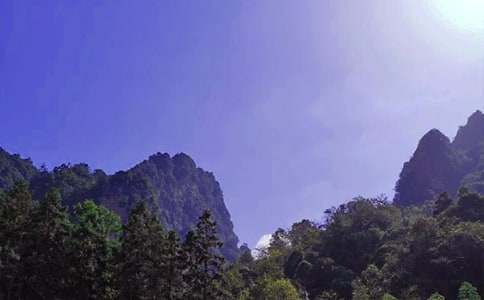 張家界游記【匯總15篇】