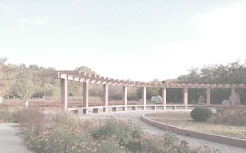 ���꼉(j��)���ģ��Ґۼ��l(xi��ng)��ֲ��@