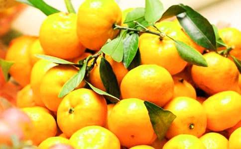 橘子的作文(精選)