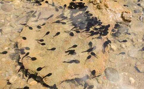 С���w��С����ҋ����̰�