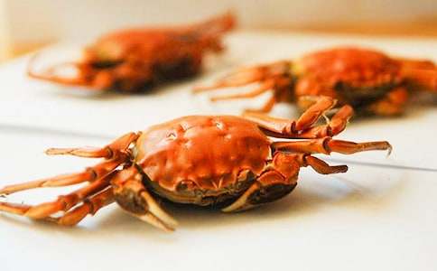 (推薦)吃螃蟹作文15篇