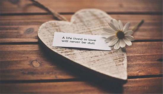 qq���g�P(gu��n)�ڐ�����f�f2ƪ