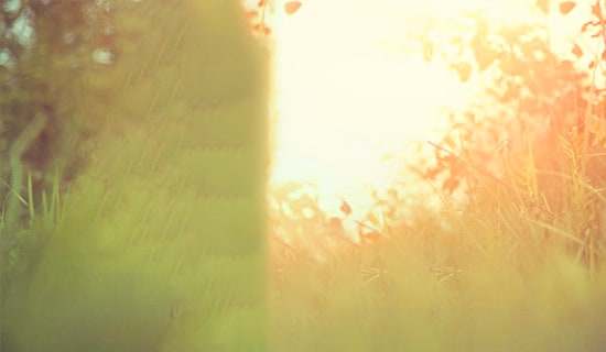 �������^�����Ψ���̾�