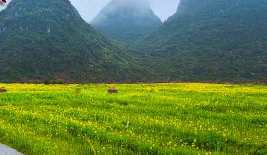 二年級(jí)看圖寫話春游